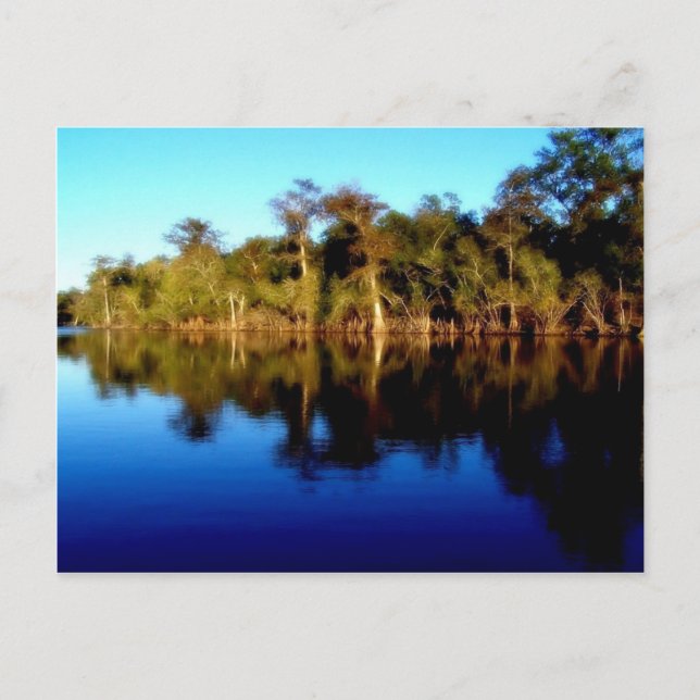 Florida River Vykort (Framsida)