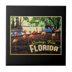 Florida Rosa Flamingos Kakelplatta