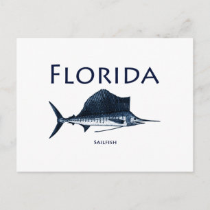 Florida Sailfish Vykort