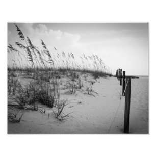 Florida Sand Dunes Fototryck