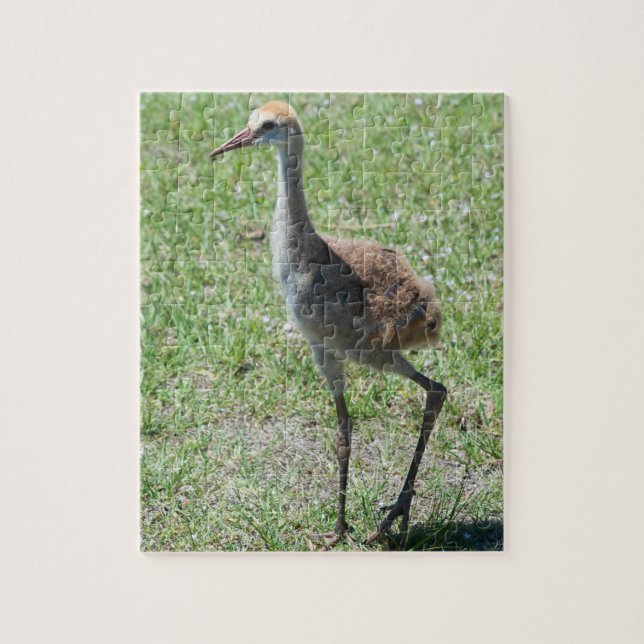 Florida Sandhill Cranes in Grönt Fält Photograph Pussel (Vertikal)