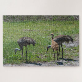 Florida Sandhill Cranes in Grönt Fält Photograph Pussel