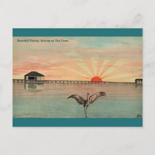 Florida Sandhill Sunrise Vykort