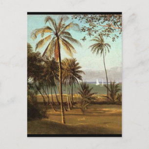 Florida Scene - Albert Bierstadt Vykort