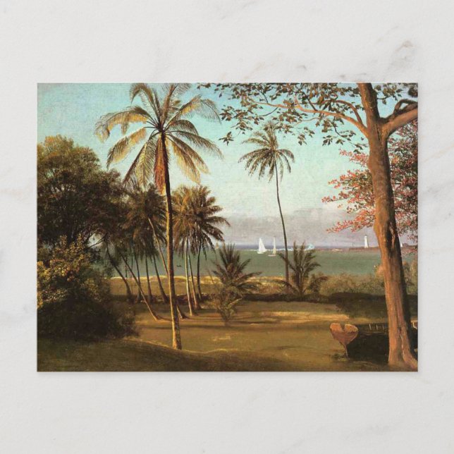Florida Scene, finkonst målning, Vykort (Framsida)