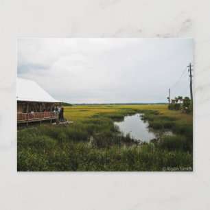 Florida Scenery Vykort