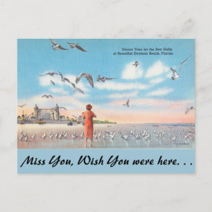 Florida, Sea Gulls, Daytona Beach Vykort