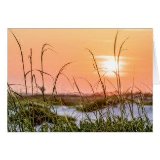 Florida Sea Oats Sunrise Greeting Card Hälsningskort