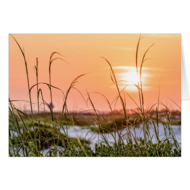 Florida Sea Oats Sunrise Greeting Card Hälsningskort (Framsidan Horizontal)