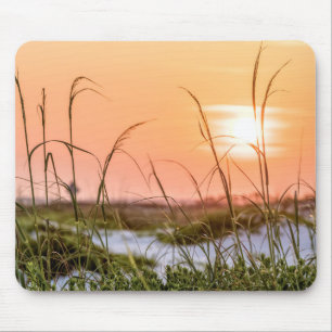 Florida Sea Oats Sunrise Musmatta