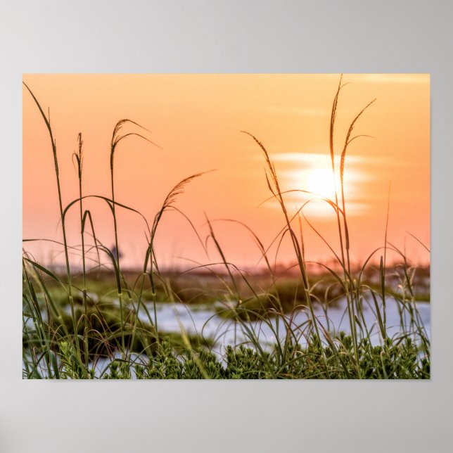 Florida Sea Oats Sunrise Poster (Framsidan)