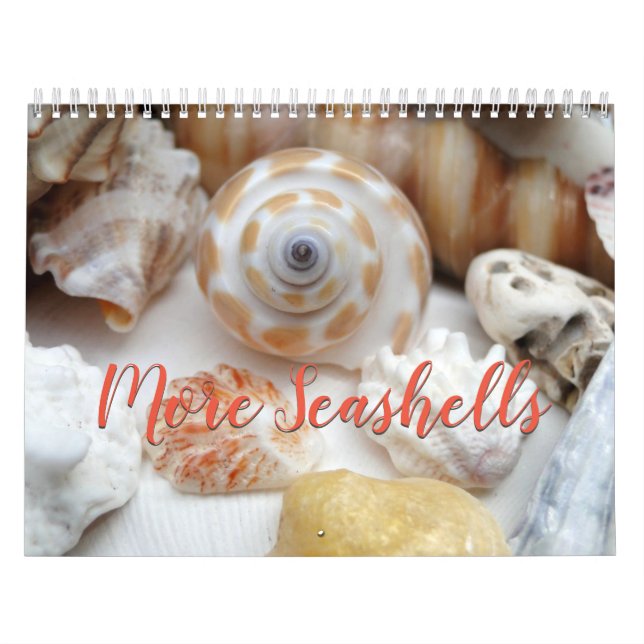 Florida Seashell-fotokalender, volym 2 Kalender (Omslag)