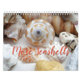 Florida Seashell-fotokalender, volym 2 Kalender