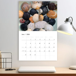 Florida Seashell-fotokalender, volym 2 Kalender