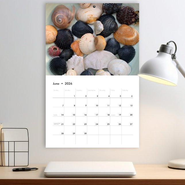 Florida Seashell-fotokalender, volym 2 Kalender (Skapare uppladdad)