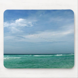 Florida Seashore Musmatta