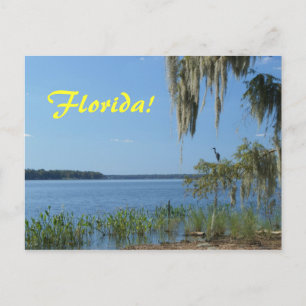 Florida Sjö Vykort