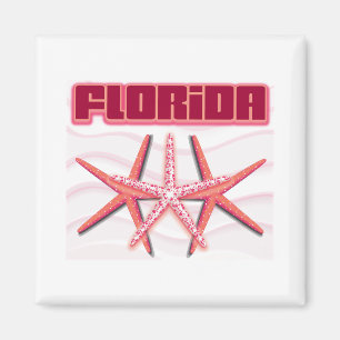 Florida sjöstjärna magnet