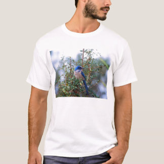 Florida skurar Jay T-shirt