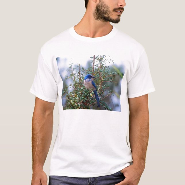 Florida skurar Jay T-shirt (Framsida)