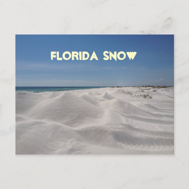 Florida Snö Vykort (Framsida)