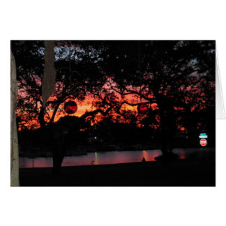 Florida solnedgång hälsningskort