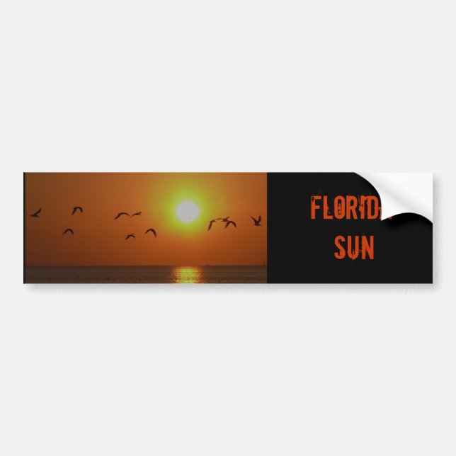 Florida solnedgång med fiskmåsbildekalet bildekal (Framsidan)