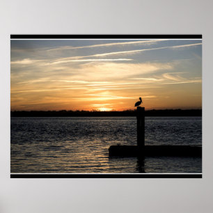 Florida solnedgång med pelikan poster