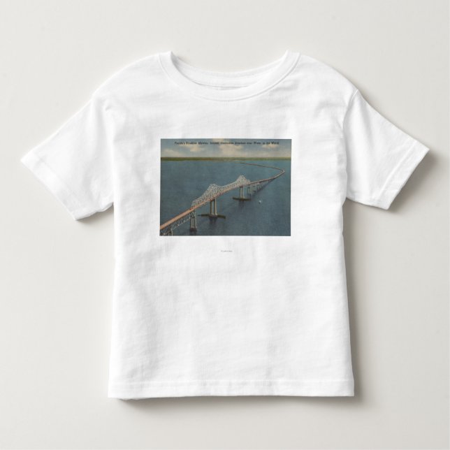 Florida solsken Skyway BridgeFlorida Tee (Framsida)
