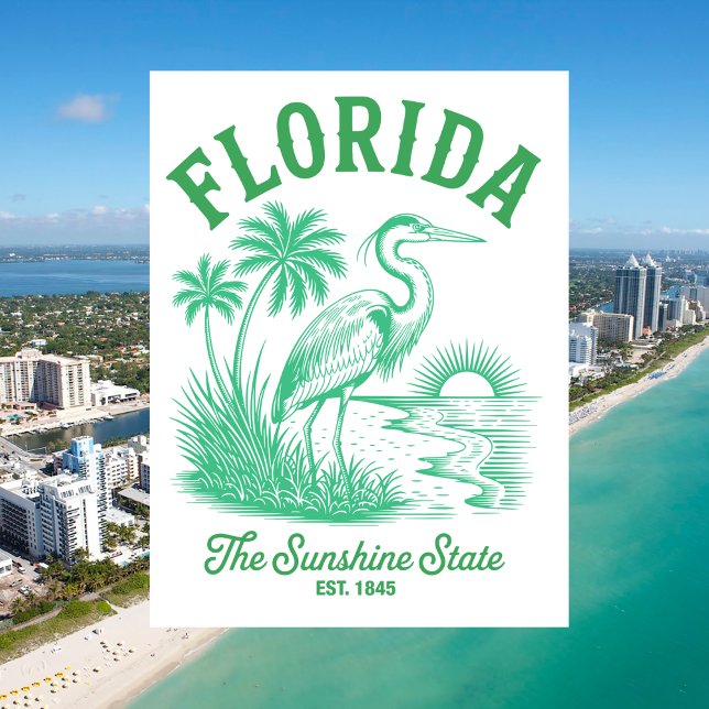 Florida Solstaten Est. 1845 Vintage Vykort (Florida The Sunshine State Est. 1845 Vintage Postcard
)