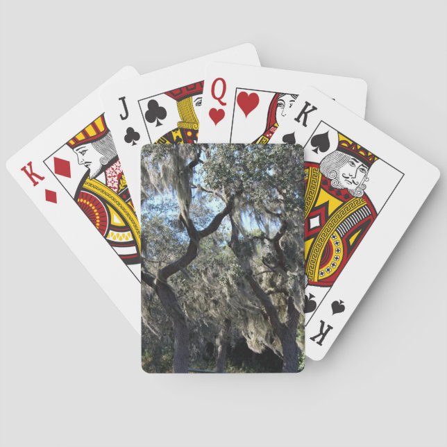 Florida Spansk Moss Casinokort (Baksidan)