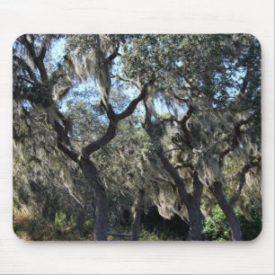 Florida Spansk Moss Musmatta