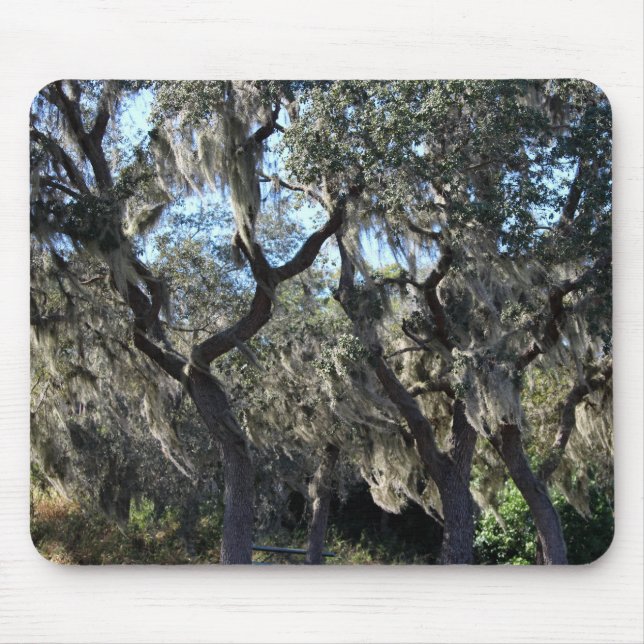 Florida Spansk Moss Musmatta (Framsidan)