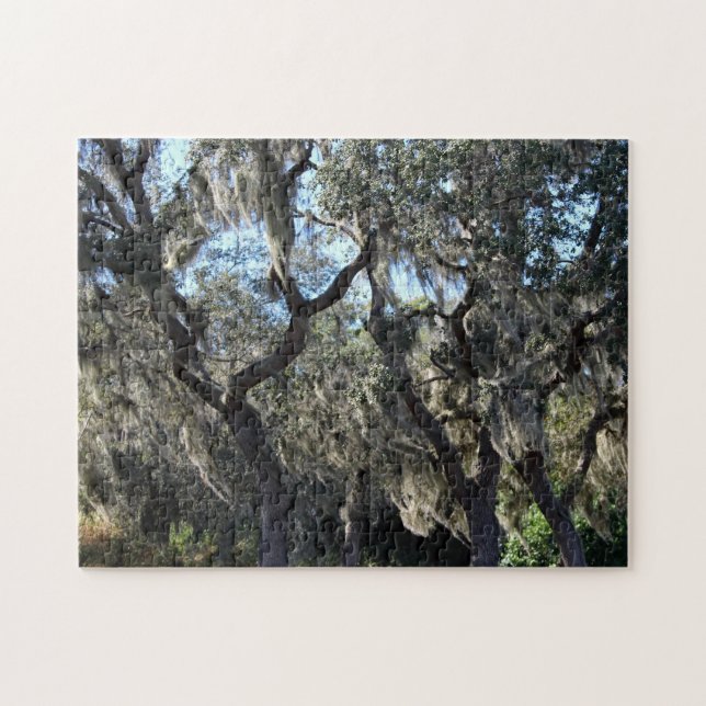 Florida Spansk Moss Pussel (Horisontell)