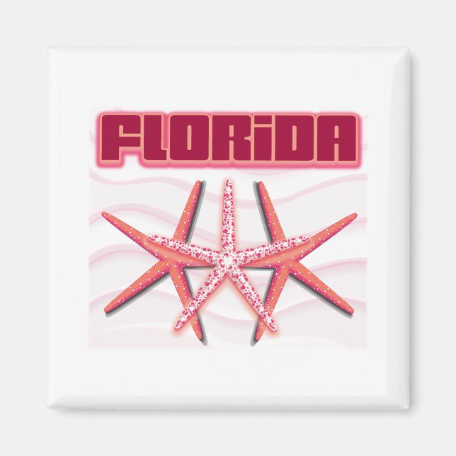Florida Starfish Magnet (Framsidan)