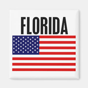 Florida stars och stripes magnet