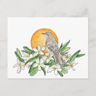 Florida State Bird and Flower Vykort