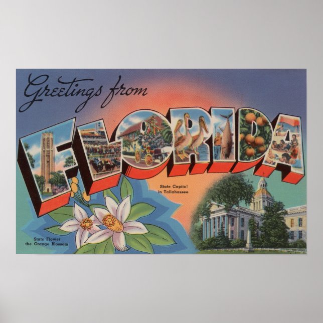 Florida (State Capital Scene) Poster (Framsidan)