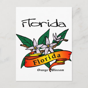 Florida State Flower Orange Blommar Vykort