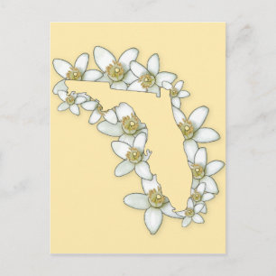 Florida State Flower Vykort