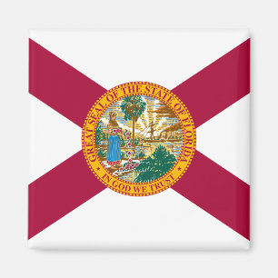 Florida Statlig flagga Magnet