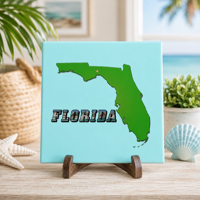 Florida Statskarta och text Kakelplatta (Florida State Map and Text Ceramic Tile)