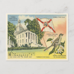 Florida-statssymboler vintage Tallahassee Vykort