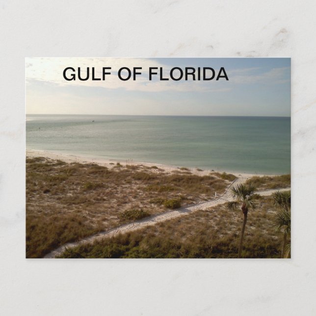 Florida stig som leder till stranden vykort (Framsida)