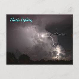 Florida Storm Lightning Postcard Vykort