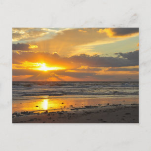 Florida Strand Scenisk Soluppgångsmugg Vykort