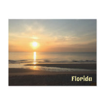 Florida Sunrise Coastal MorgBliss