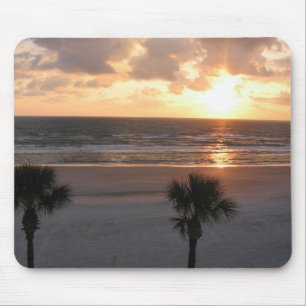 Florida Sunrise Musmatta