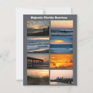 Florida Sunrises Vykort