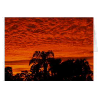 Florida Sunset Hälsningskort